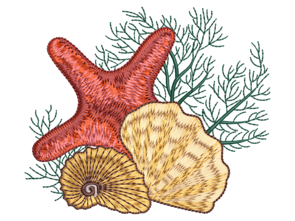 Red Starfish Seashell: A Closer Look for Business Embroidery Use